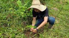 Convertirán las fincas en bosques en Norte de Santander./Foto: cortesía Corponor