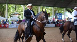 Exitosa versión de la Feria Agropecuaria y Equina Cúcuta 2022./Foto: cortesía