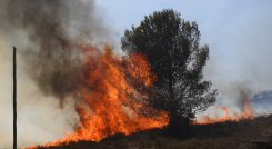  Reino Unido en alerta roja