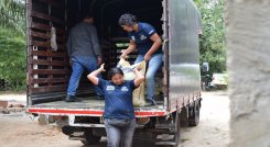  Víctimas del conflicto armado en Cúcuta podrán crear su propio modelo de negocio
