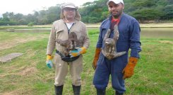 Guardianes de la fauna desamparada en Norte de Santander./Foto cortesía