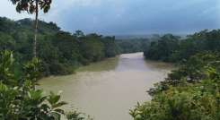 imponente selva del Catatumbo