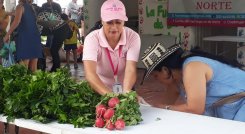 Cada 15 días, se reúnen los emprendedores en diferentes barrios de Cúcuta para vender sus mercancías.