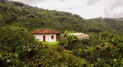 Restitución de tierras.