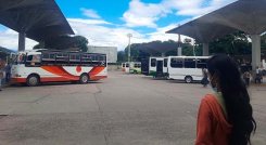 Buses 