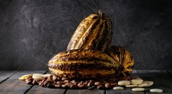 El café y el cacao serán protagonistas este fin de semana./Foto: Colprensa