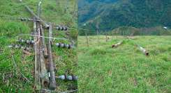 Vereda-Pomarroso