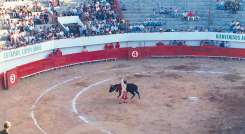 Los años dorados del toreo en Norte de Santander./Foto: archivo