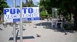 La ciudad ya ha recibido 1.508. 919 dosis desde que inició el Plan de Vacunación. / Fotos: Jorge Gutiérrez / La Opinión 