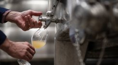El vino británico gana cuerpo con el avance del cambio climático  