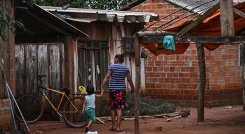 La alimentación bajo amenaza por los desastres climáticos/Foto: AFP