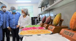 Agrosavia busca contribuir con el cambio técnico del sector agropecuario, mediante el trabajo que desarrolla en el Centro de Investigación La Suiza./ Foto: Cortesía