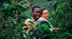 El café que cultiva Domingo Torres Angulo, en Ragonvalia, se consume en  China, Corea del Sur y Taiwán. Foto Cortesía /La Opinión