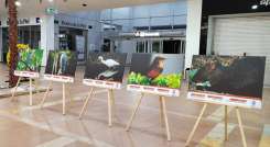 Estudiantes exponen fotos de aves de bosques en Los Patios./Foto: cortesía
