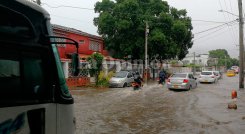 lluvias