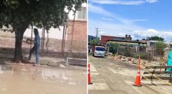 Cucuteños indignados por tala de árboles en Guaimaral./Foto: cortesía