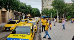 taxista