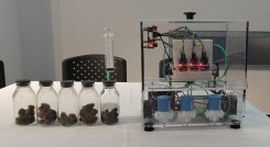 El cacao se fortalece con  inteligencia artificial