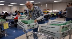 Elecciones de mitad de mandato en EE. UU.