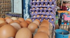 El tipo de huevos más barato es el C, que los mayoristas de Cenabastos venden en $12.000 y $13.000. / Foto Leonardo Favio Oliveros / La Opinión