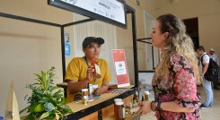 Sustitución de cultivos ilícitos. 