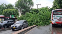 Cúcuta vivió fuerte aguacero y tomenta eléctrica esta madrugada