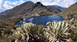 Se completaron cinco años intentando llevar a cabo la delimitación del páramo Santurbán/Foto archivo