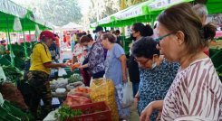 Mercado campesino en La ceiba registró más de 37 millones de pesos en ventas