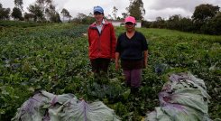 el Gobierno anunció una rebaja en las tasas de interés en las líneas de Pequeño Productor, Mujer Rural, Joven Rural y Agrolisto. / Foto: Archivo