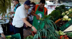 El gobernador Silvano Serrano recorrió el Festival Agropecuario. / Foto: Cortesía