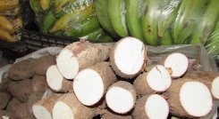 La yuca se disparó 107% en su precio. / Foto: Archivo