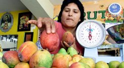 Mincomercio celebró la primera  exportación de mango./ Foto Archivo