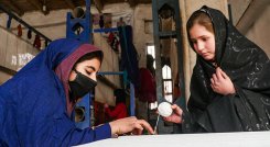 Los talibanes prohíben a las mujeres acceder a la universidad en Afganistán./Foto: AFP