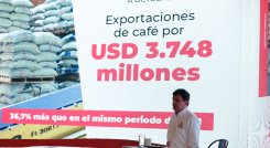 Roberto Vélez llegó a la Gerencia de Federación Nacional de Cafeteros en agosto del 2015. / Foto: Cortesía