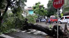 La temporada de lluvias se extenderá hasta junio