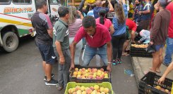 Impulsar la venta directa de los productos del campo sería una estrategia ideal para enfrentar la inflación, según la Liga de Consumidores. / Foto Archivo