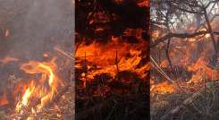 incendio