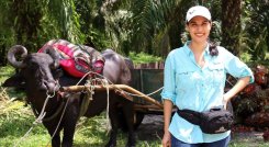 Fedepalma abre postulaciones a Premio Mujer Palmera 2023 