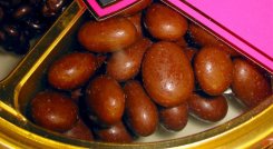 chocolate