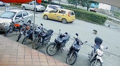 Taxista arrolló a una perrita en Cúcuta