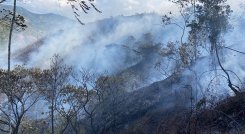Un incendio forestal arrasa con 20 hectáreas de capa vegetal en Ocaña.