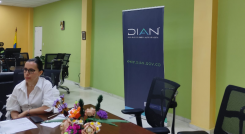 Directora Norte de Santander DIAN