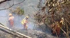 Esperan helicópteros del Ejército para apagar  incendios forestales