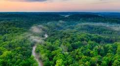 El Amazonas es la mayor selva tropical del mundo.