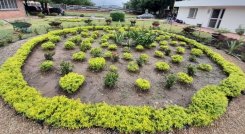 Desde el programa de Ingeniería Agronómica de la UFPS. /Foto: La Opinión 