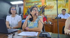 Equidad de Género, una secretaría desfinanciada: Concejo 