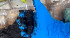 El piloto de la empresa Control Ambiental de Colombia se centró en procesar los residuos orgánicos de porcinaza.