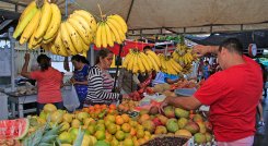 La misión exploratoria a Venezuela será del 23 al 27 de mayo. / Foto: Archivo