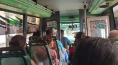 Cerca de 1.800 busetas y 8.545 taxis prestan sus servicios en Cúcuta y el área metropolitana/Foto Orlando Carvajal/La Opinión 