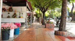 Esta iniciativa se realiza en el sector comprendido entre la Diagonal Santander y la Avenida Cero con calle 0./ Foto: Cortesía / La Opinión 